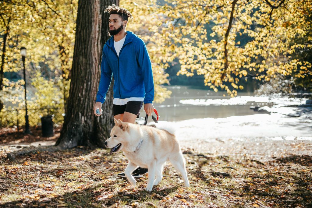 Man walking with his dog in a sunny park as a method on how to manage panic attacks.