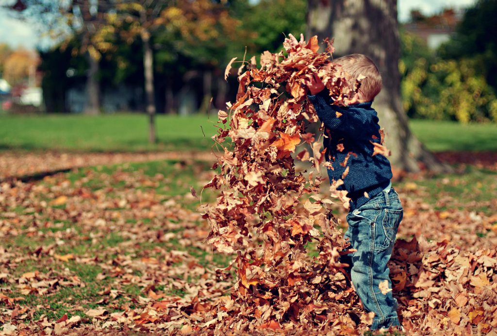 Child playing with fall leaves, symbolizing adhd awareness.