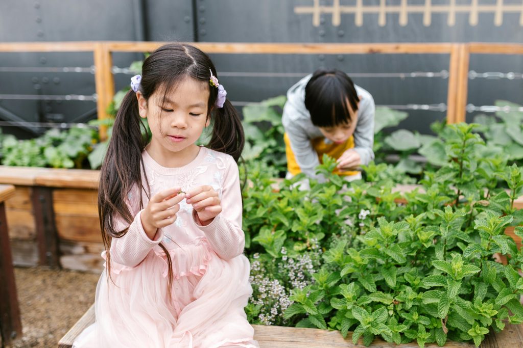 Two children exploring a garden, illustrating how nature activities boost dopamine levels benefiting adhd management.
